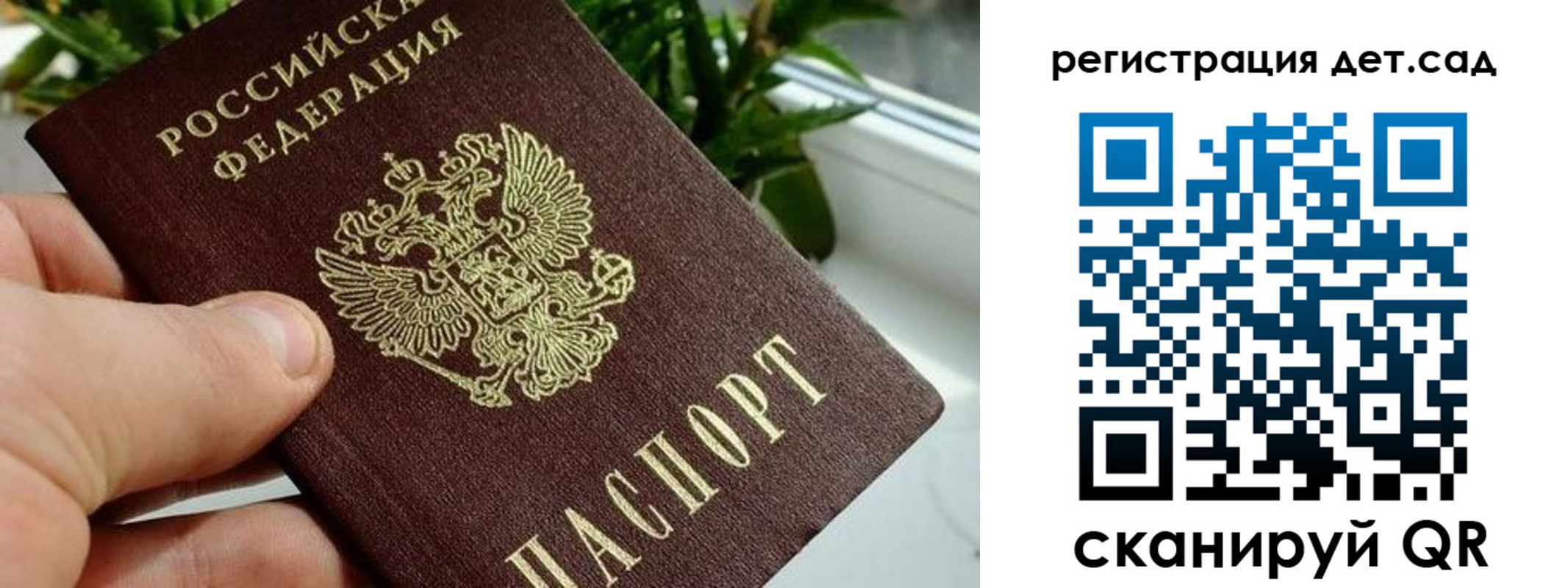 найти адрес прописки в Электрогорске